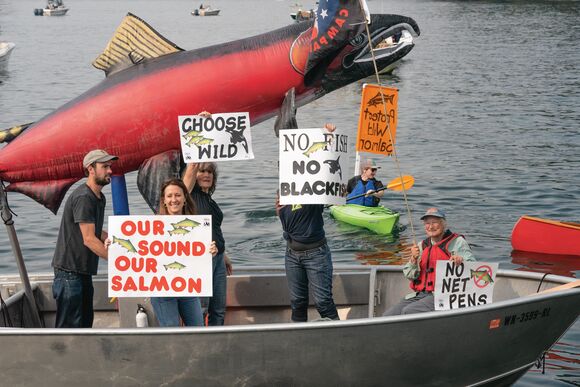 Still from Artifishal