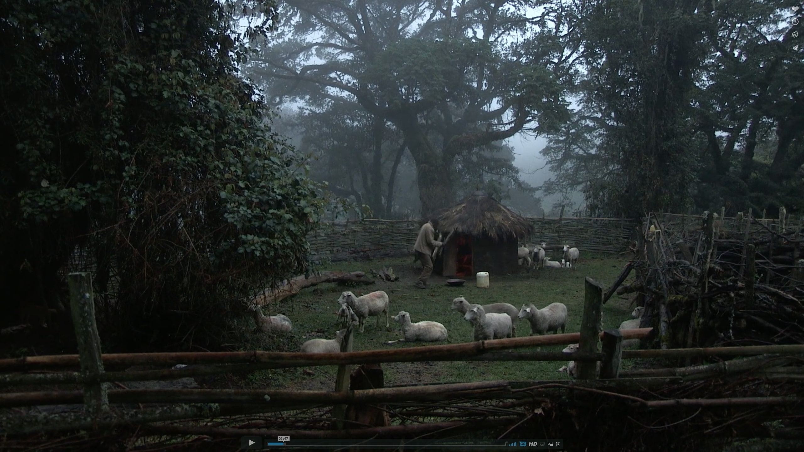 Still from Honey At The Top