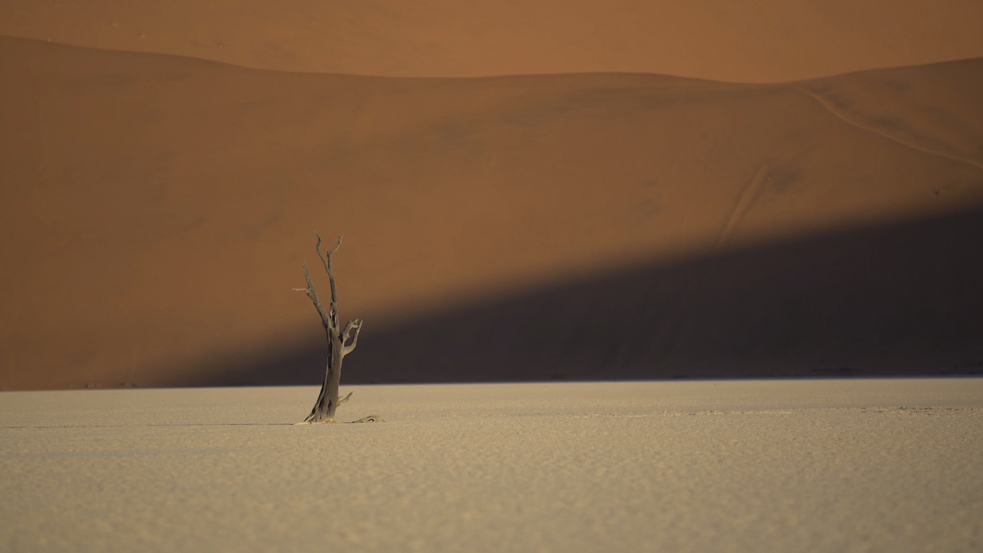 Still from In Praise Of Nothing