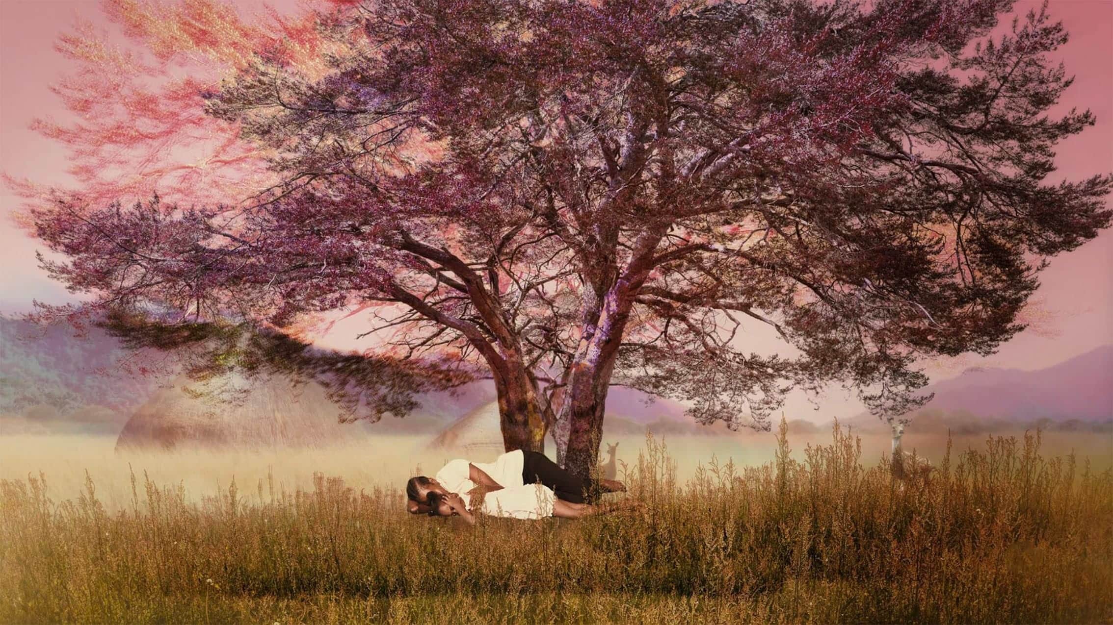 Still from Khartoum showing a tree in the Sudanese landscape, symbolizing resilience amid displacement and civil unrest.