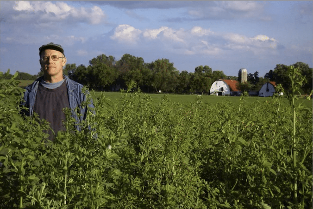 John Peterson standing in a green field on his Illinois farm under a clear sky.